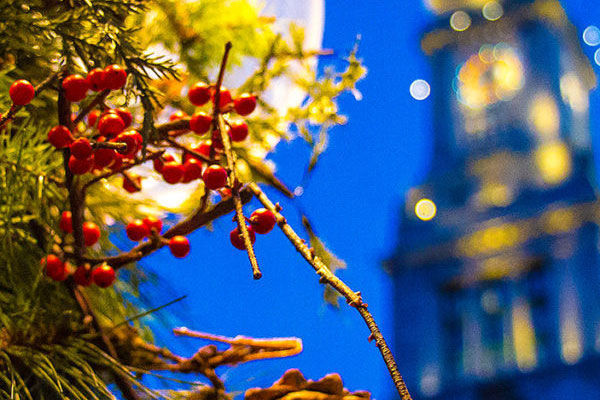 Boston has become the favorite place for many to celebrate the Holiday