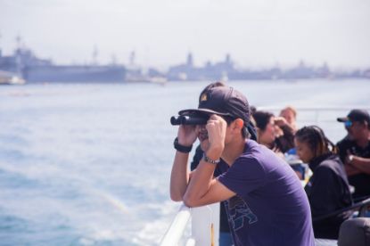 Picture of Whale and Dolphin Watching Midweek Adventures