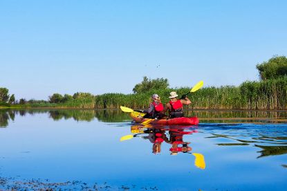 Picture of Fury Scenic Cruise & Guided Kayak Tour